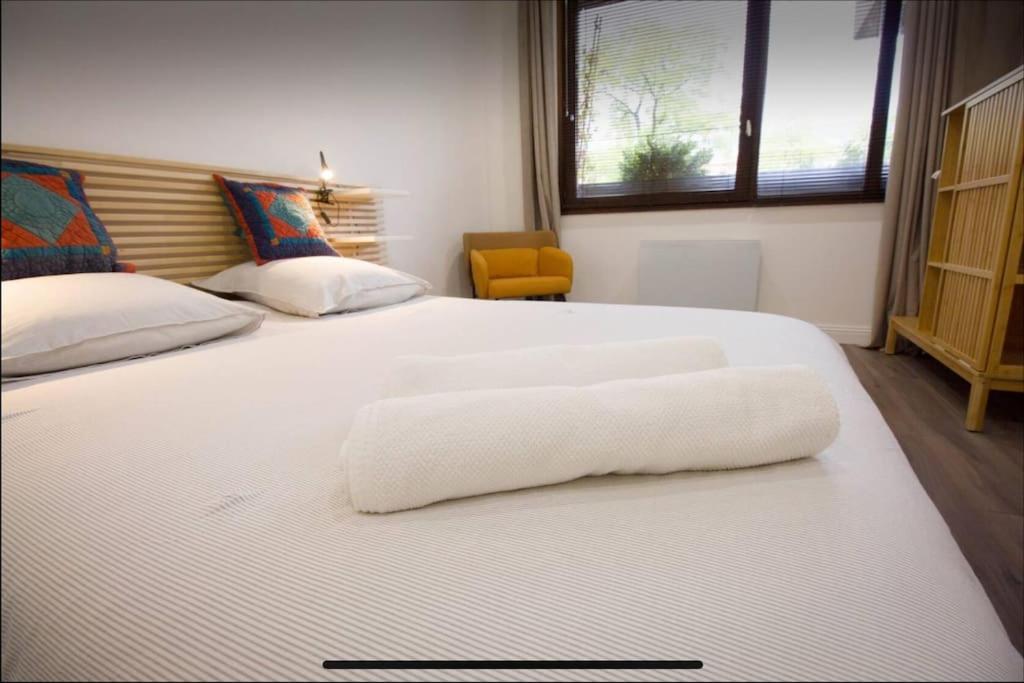 Superbe Appartement En Plein Coeur De Metz. Екстериор снимка